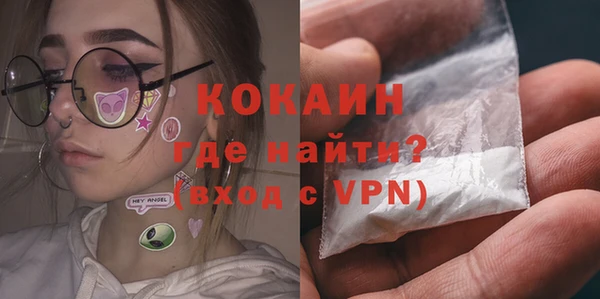 сатива Арсеньев