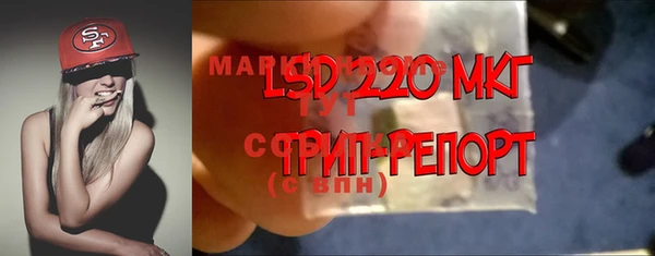 МДПВ Алзамай