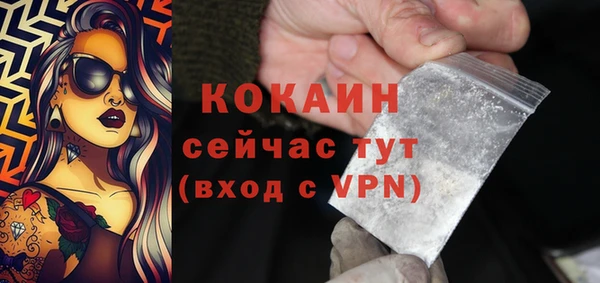 сатива Арсеньев